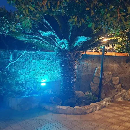 La Cycas