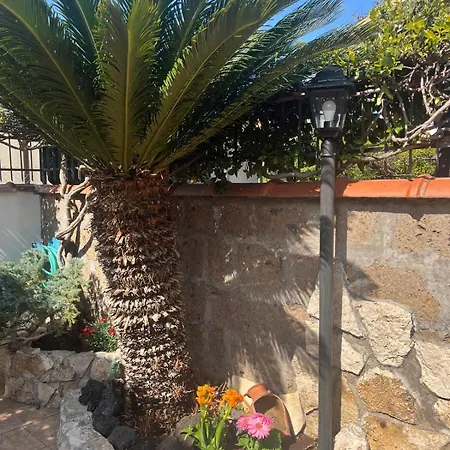 Apartment La Cycas