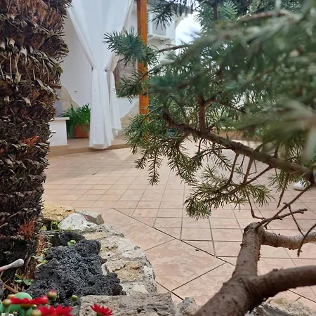 Apartment La Cycas Torvaianica